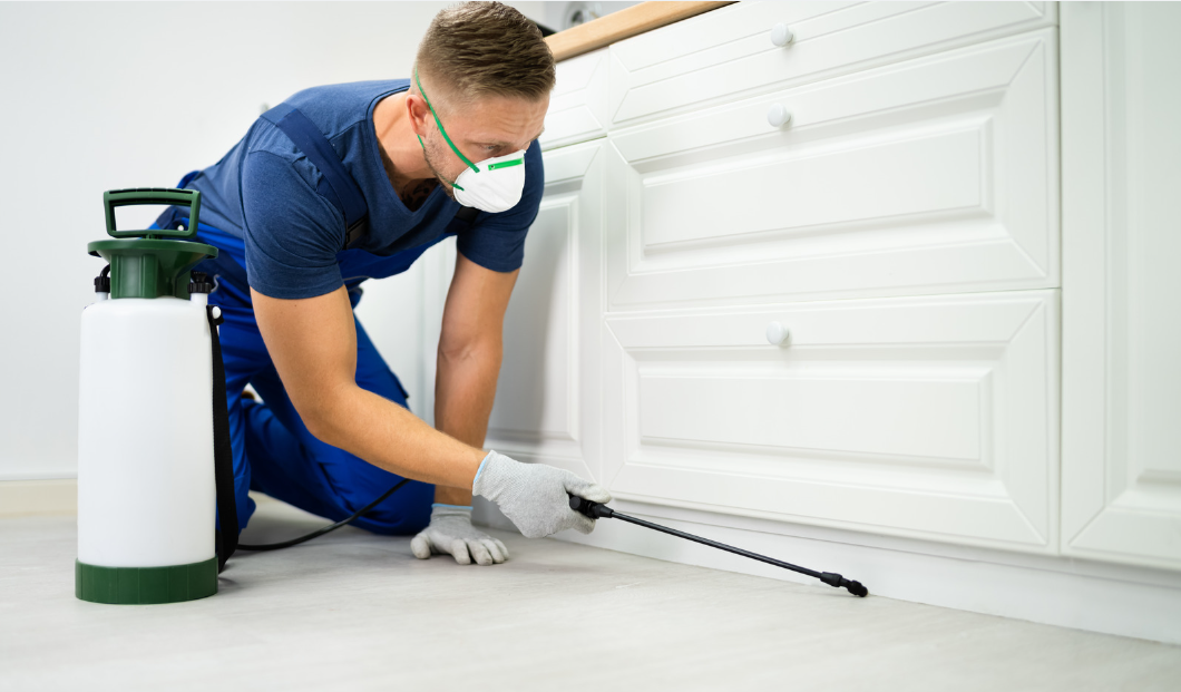 Dikili Haşere İlaçlama Hizmetleri - CB KARAGÖZ İle Etkili Çözümler