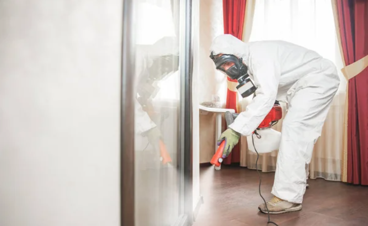 Dikili Hastane İlaçlama Hizmetleri - CB KARAGÖZ İle Sağlıklı ve Güvenli Hastane Ortamları