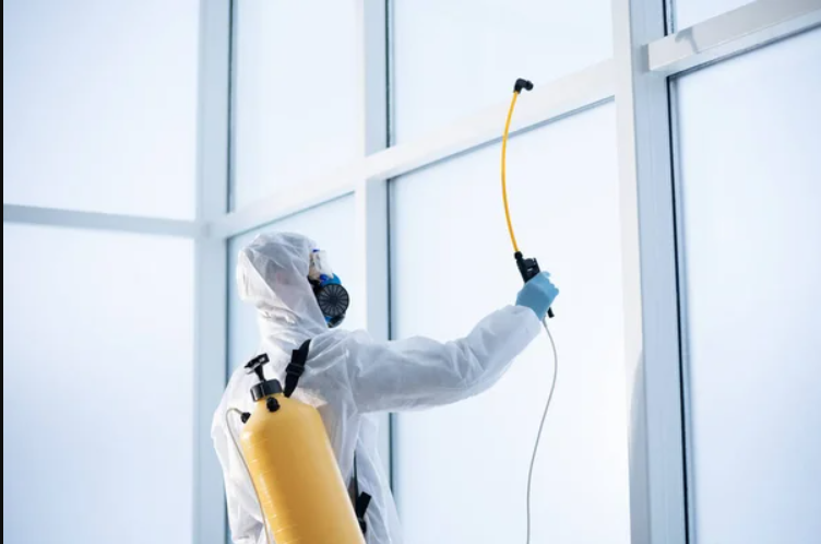 Dikili İşyeri İlaçlama Hizmetleri - CB KARAGÖZ ile İşyerinizde Haşerelere Son Verin