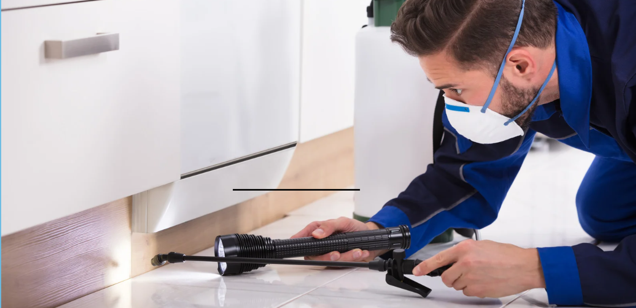 Dikili Böcek İlaçlama Hizmetleri - CB KARAGÖZ İle Güvenli ve Kalıcı Çözümler